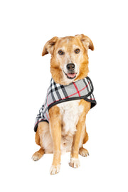 Steel Tartan Wool Dog Blanket Coat