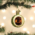 Load image into Gallery viewer, Chestnut Ornament - Southlake Paws
