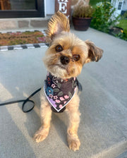 Halloween Bandana | Halloween Dog Bandana | Flowers, Pumpkins, Web
