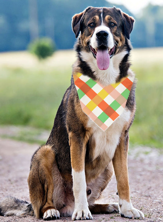 Fall Bandana | Halloween Dog Bandana | Thanksgiving | Plaid Bandana - Southlake Paws
