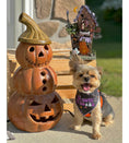 Load image into Gallery viewer, Halloween Bandana | Halloween Dog Bandana | Black Spider Web | TOO CUTE TO SPOOK
