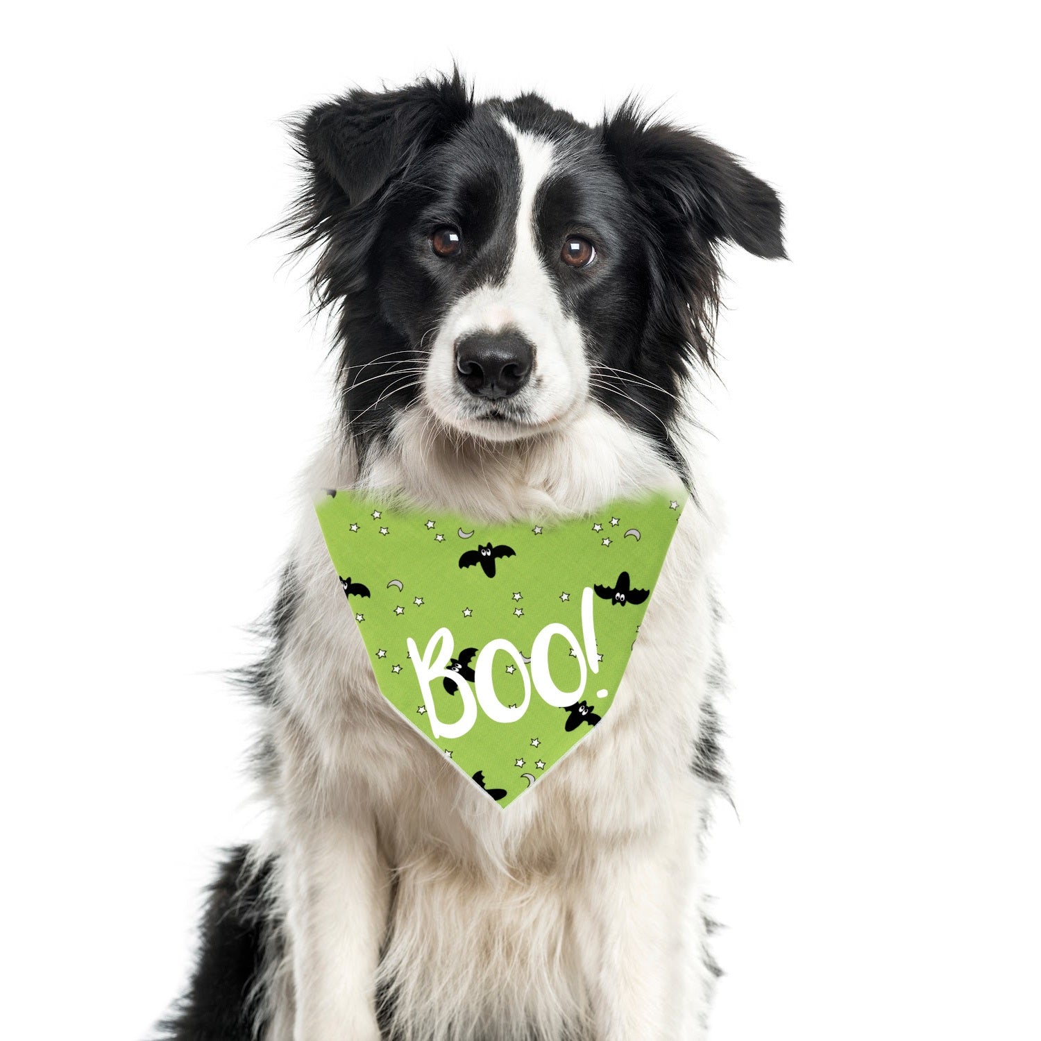 Halloween Bandana | Halloween Dog Bandana | Bats | Green Bandana | BOO - Southlake Paws