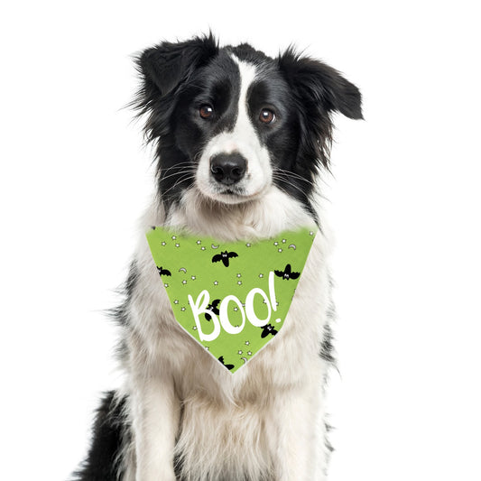 Halloween Bandana | Halloween Dog Bandana | Bats | Green Bandana | BOO - Southlake Paws