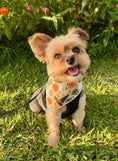 Load image into Gallery viewer, Fall Halloween Bandana | Fall Dog Bandana | Ghost, Pumpkins - Southlake Paws
