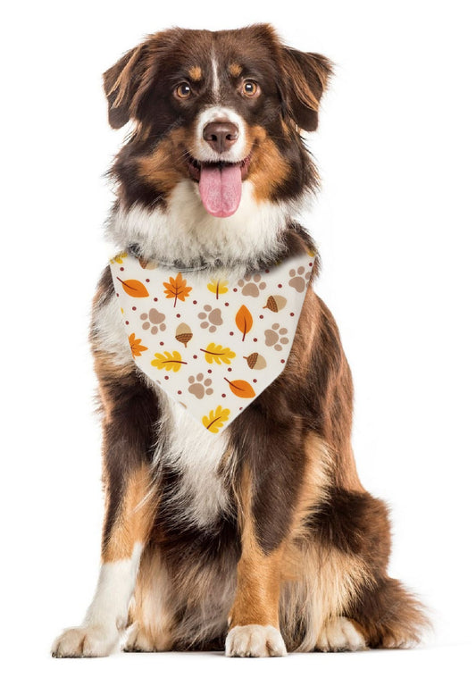 Fall Bandana | Halloween Dog Bandana | Thanksgiving | Leaves, Acorns, Paws - Southlake Paws