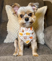 Fall Bandana | Halloween Dog Bandana | Thanksgiving | Leaves, Acorns, Paws