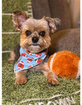 Load image into Gallery viewer, Football Pet Bandana
