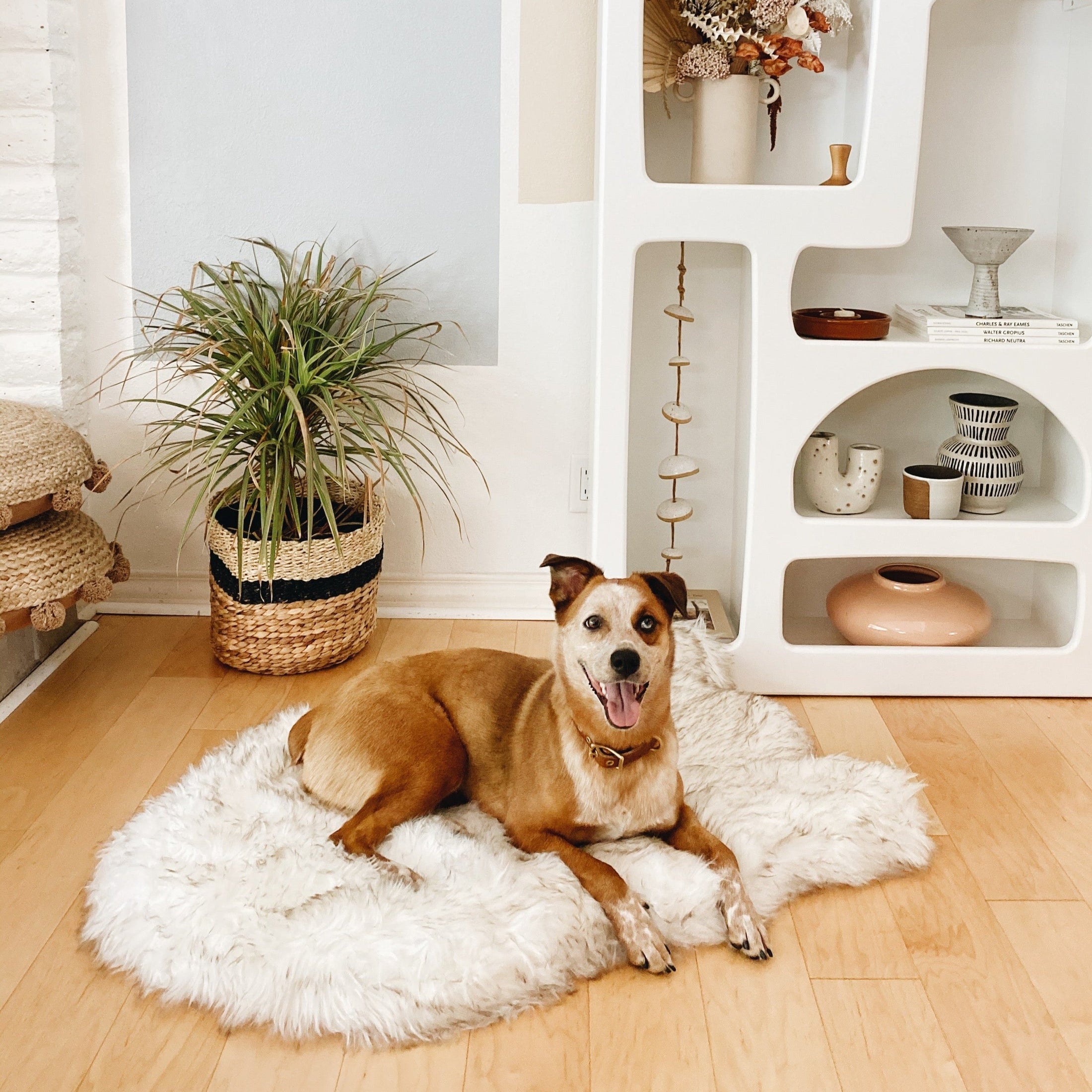 PupRug Faux Fur Orthopedic Dog Bed - Curve White with Brown Accents