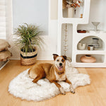 PupRug Faux Fur Orthopedic Dog Bed - Curve White with Brown Accents