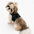 Load image into Gallery viewer, Green Plaid Harness
