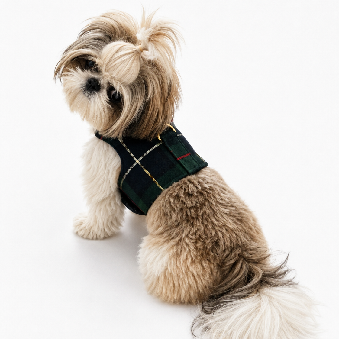 Green Plaid Harness