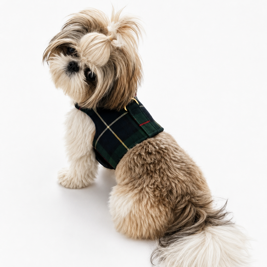 Green Plaid Harness