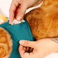 Load image into Gallery viewer, Joey Cat Harness & Leash Set
