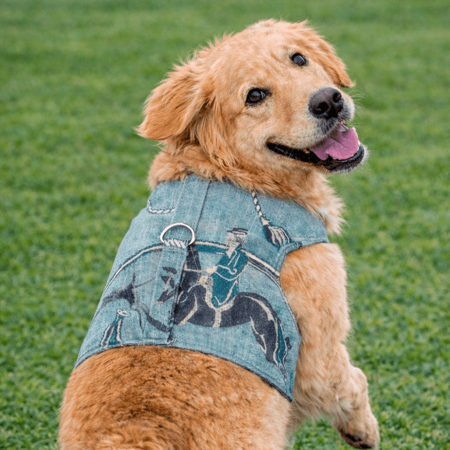 Luxury Equestrian Linen Harness