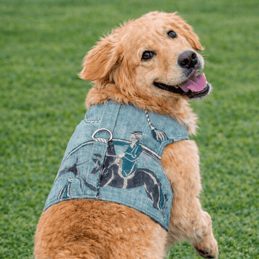 Luxury Equestrian Linen Harness