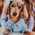 Load image into Gallery viewer, Stripe Long-Sleeve Button-Down Dog Dress Shirt - Southlake Paws
