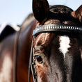 Load image into Gallery viewer, Black and white browband by Southlake Paws, featuring a shiny design, worn on a brown horse's bridle.
