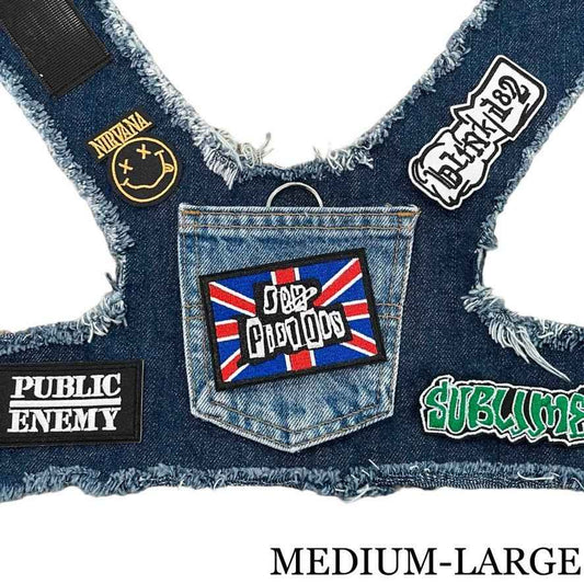 Pistols Harness