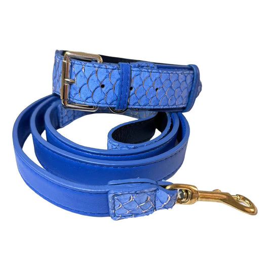 Malibu Classic Collar & Leash Set
