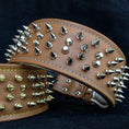 Load image into Gallery viewer, The "Crown" collar
