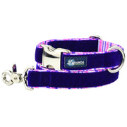 Purple Stripes Velvet Essential Dog Collar (1″ Only)