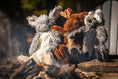 Load image into Gallery viewer, Birch Bunny X-Brace™ Plush Dog Toy - image 13
