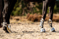 Load image into Gallery viewer, Aurum Open Front Boots by Southlake Paws on a horse's front legs, featuring shiny metallic design and protective padding.
