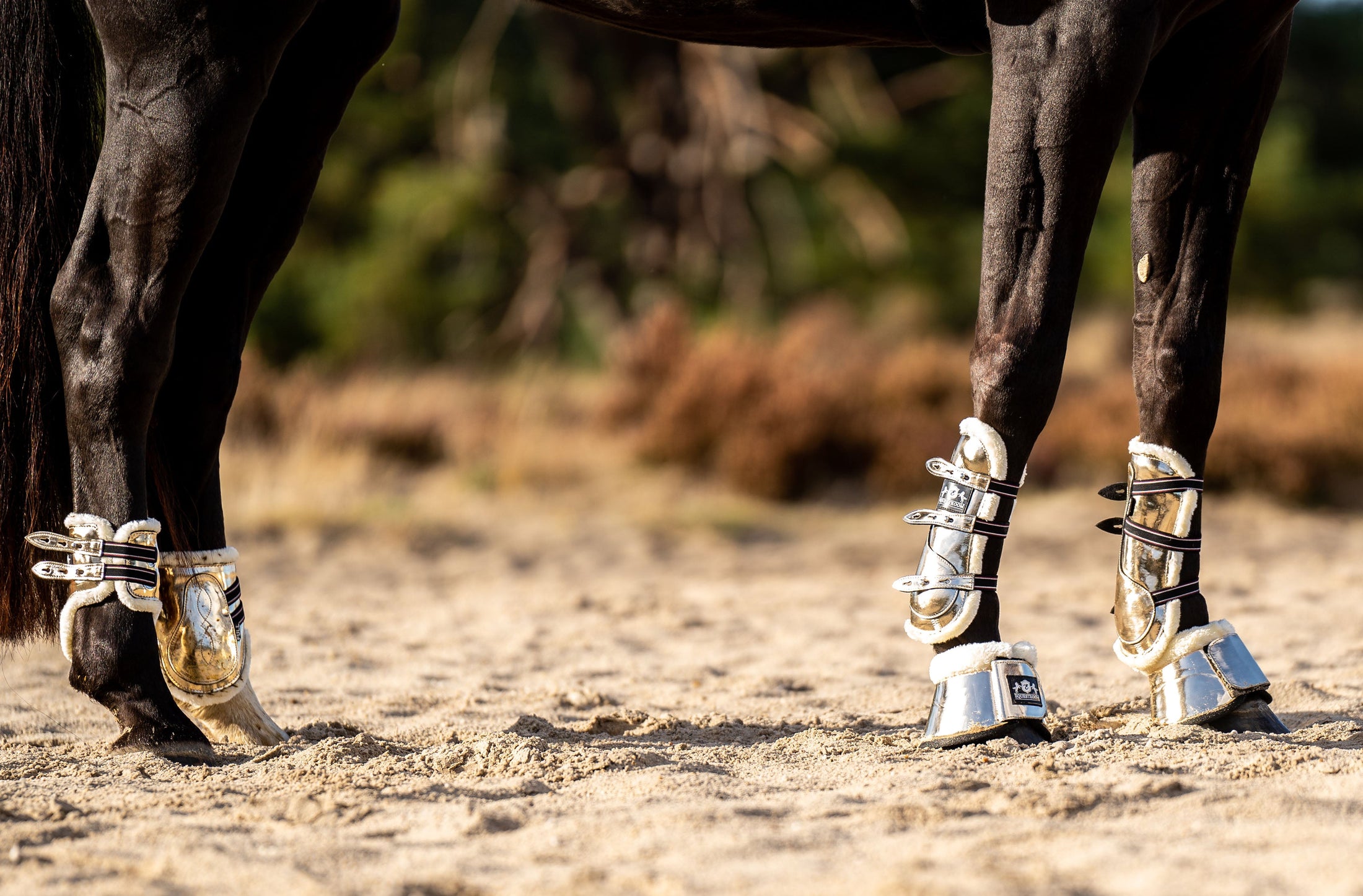Aurum Open Front Boots by Southlake Paws on a horse's front legs, featuring shiny metallic design and protective padding.