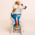 Load image into Gallery viewer, Atlas Dog Harness
