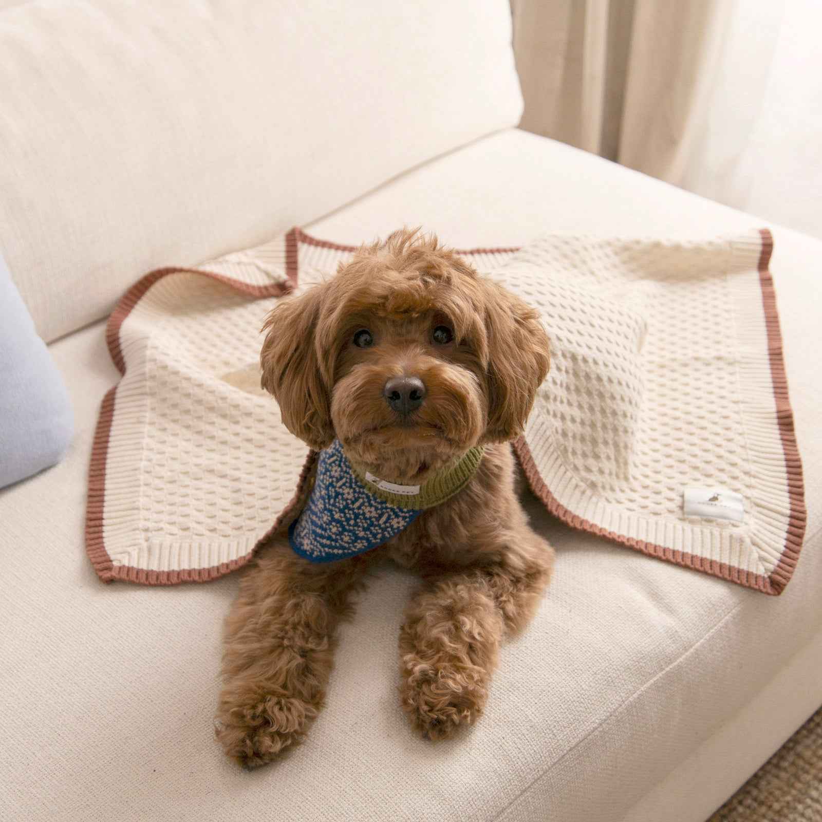 Nooee Pet Organic Cotton Blanket Cory