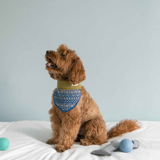 Nooee Pet Wool Neck Warmer