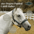 Load image into Gallery viewer, Henri De Rivel 360-Degree Padded Cahill Halter - image 3
