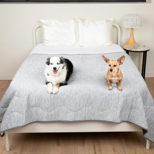 PupChill™ Cooling Waterproof Blanket - Arctic Grey 
