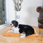 Armarkat M01CZS-L Large Pet Bed Mat  Dog Crate Soft Pad With Poly Fill Cushion Earth Brown