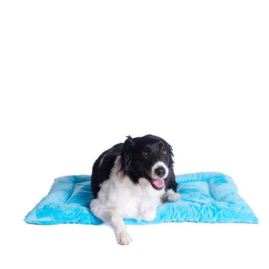 Armarkat Dog Crate Pad M01CTL-L - Sky/Blue - Large