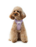 Load image into Gallery viewer, NO PULL ACTIVE  PET HARNESS - MINT PURPLE
