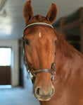 Load image into Gallery viewer, Anatomic Bridle with Crystal Browband
