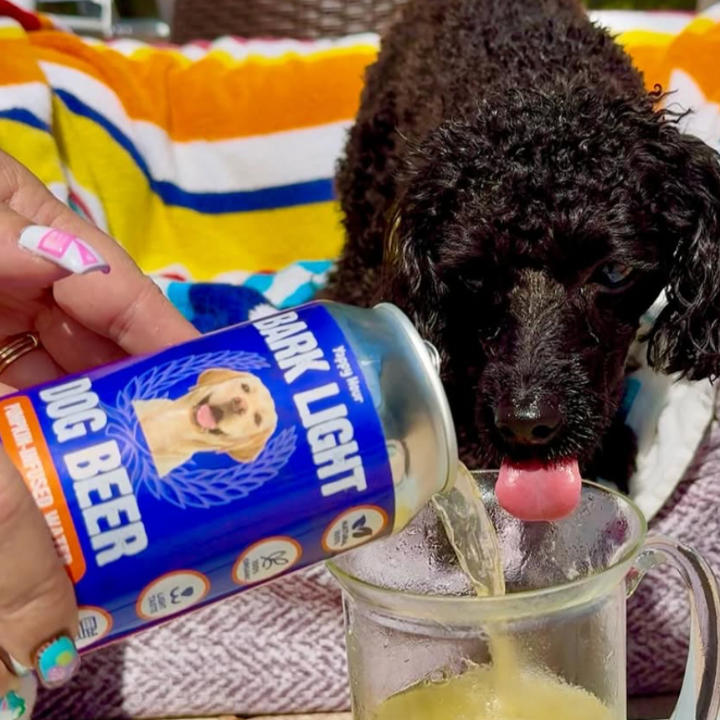 Bark Light Pumpkin Dog Water
