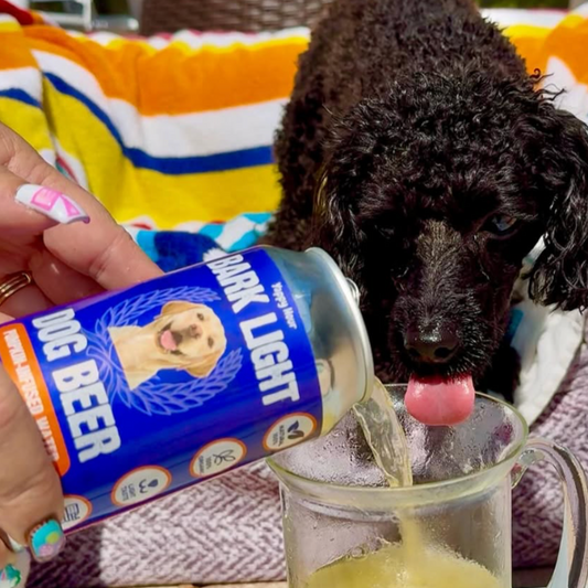 Bark Light Pumpkin Dog Water