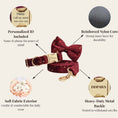 Load image into Gallery viewer, Velvet Wine Star Set
