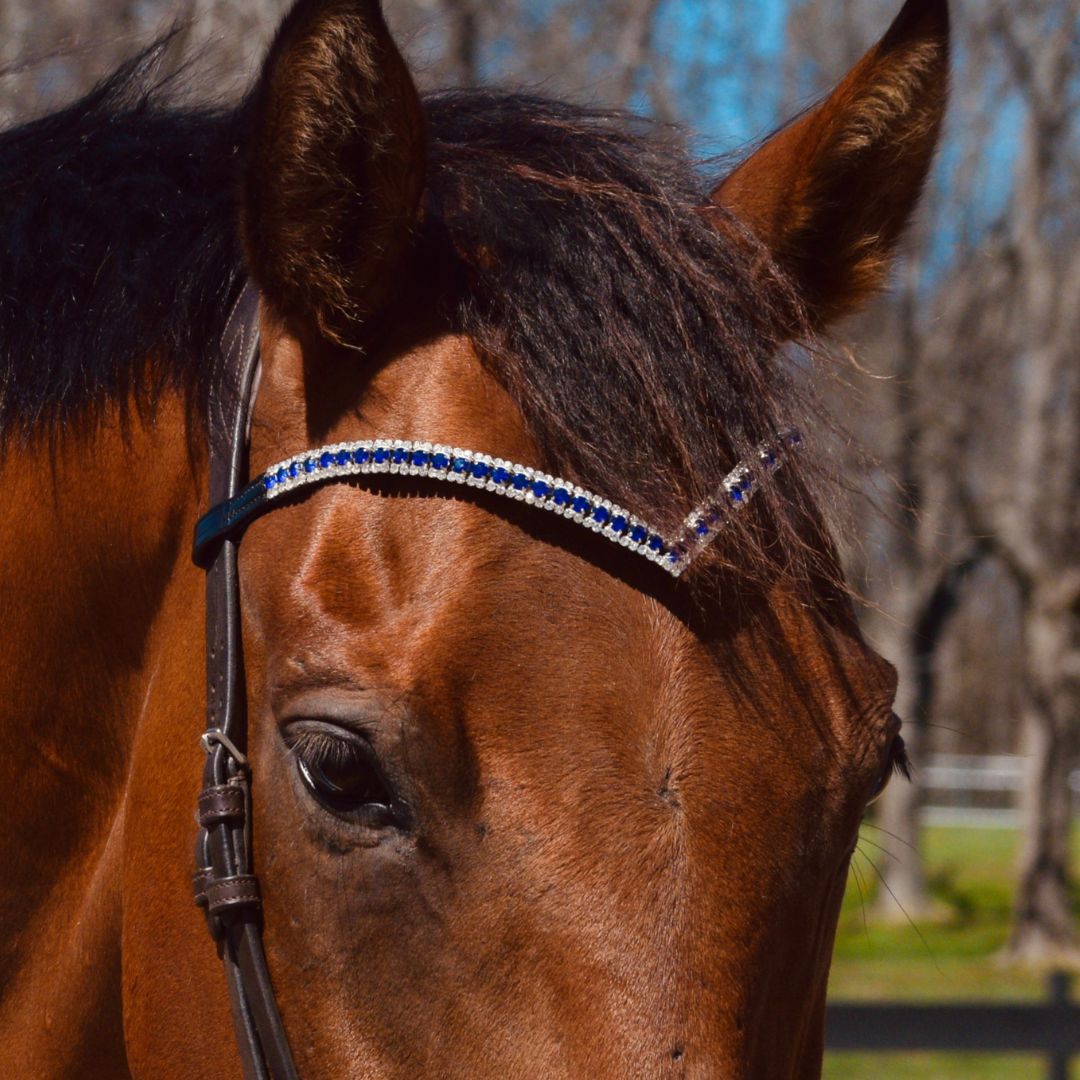 Blue Astra Browband by Southlake Paws, featuring a sparkling blue and clear crystal design on a black leather strap.