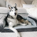 Load image into Gallery viewer, PupChill™ Cooling Bolster Dog Bed 

