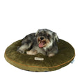 Load image into Gallery viewer, Armarkat Dog Cushion - Sage/Green
