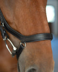 Load image into Gallery viewer, Anatomic Bridle with Crystal Browband
