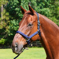 Load image into Gallery viewer, Magna Halter ™ in Blue with Leather Breakaway
