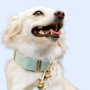 Daddy & Me on the Pickleball Court- Matching Accessories 