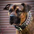 Load image into Gallery viewer, The Candy Dog Collar Black
