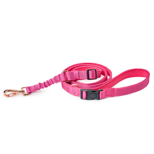 3-in-1 City Dog Leash - Park Ave Pink