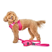 3-in-1 City Dog Leash - Park Ave Pink 