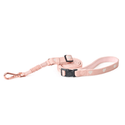 3-in-1 City Dog Leash - Sweetheart 